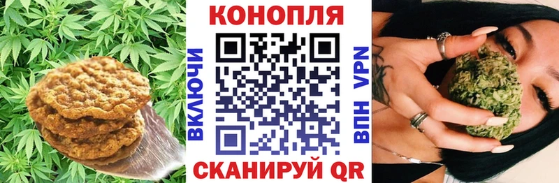 Cannafood конопля  Муравленко 