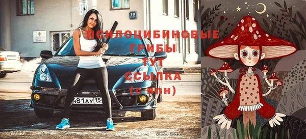 МДПВ Нестеровская