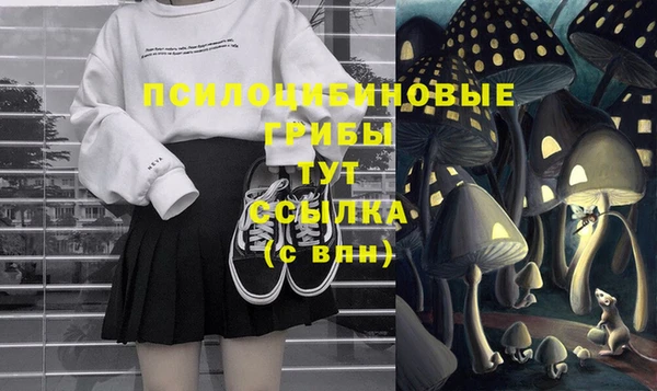 винт Козловка