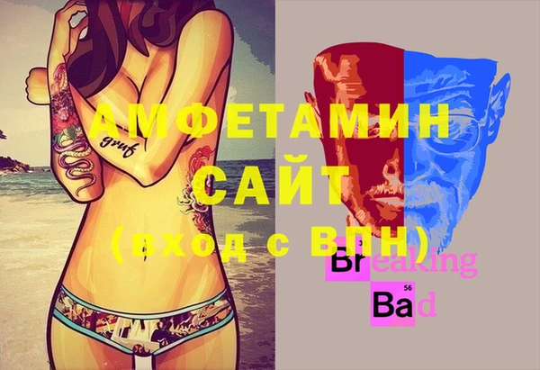 индика Калининец