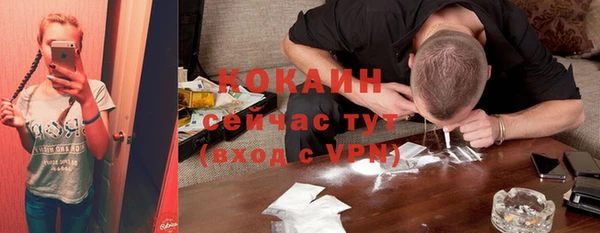 винт Козловка