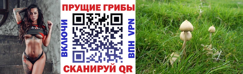 Псилоцибиновые грибы Magic Shrooms  Муравленко 