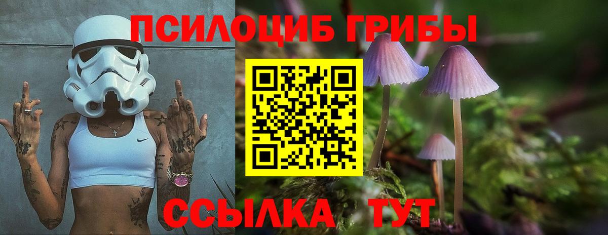 Муравленко  купить наркотики сайты  Псилоцибиновые грибы Magic Shrooms  Вход с VPN  Псилоцибиновые грибы MAGIC MUSHROOMS 